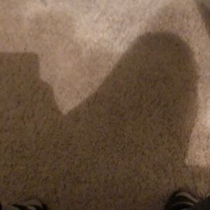 Meet your Posher, Logan